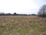 R1114 - Development Land, Barn Lane, Golborne, Warrington, WA3 3N